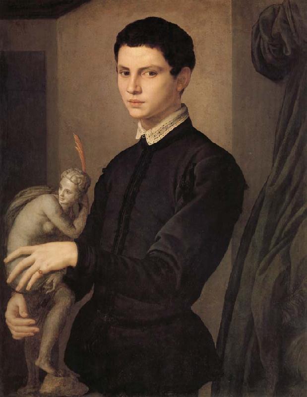 Agnolo Bronzino Portrait d'un sculpteur on d'un jeune amateur Sweden oil painting art